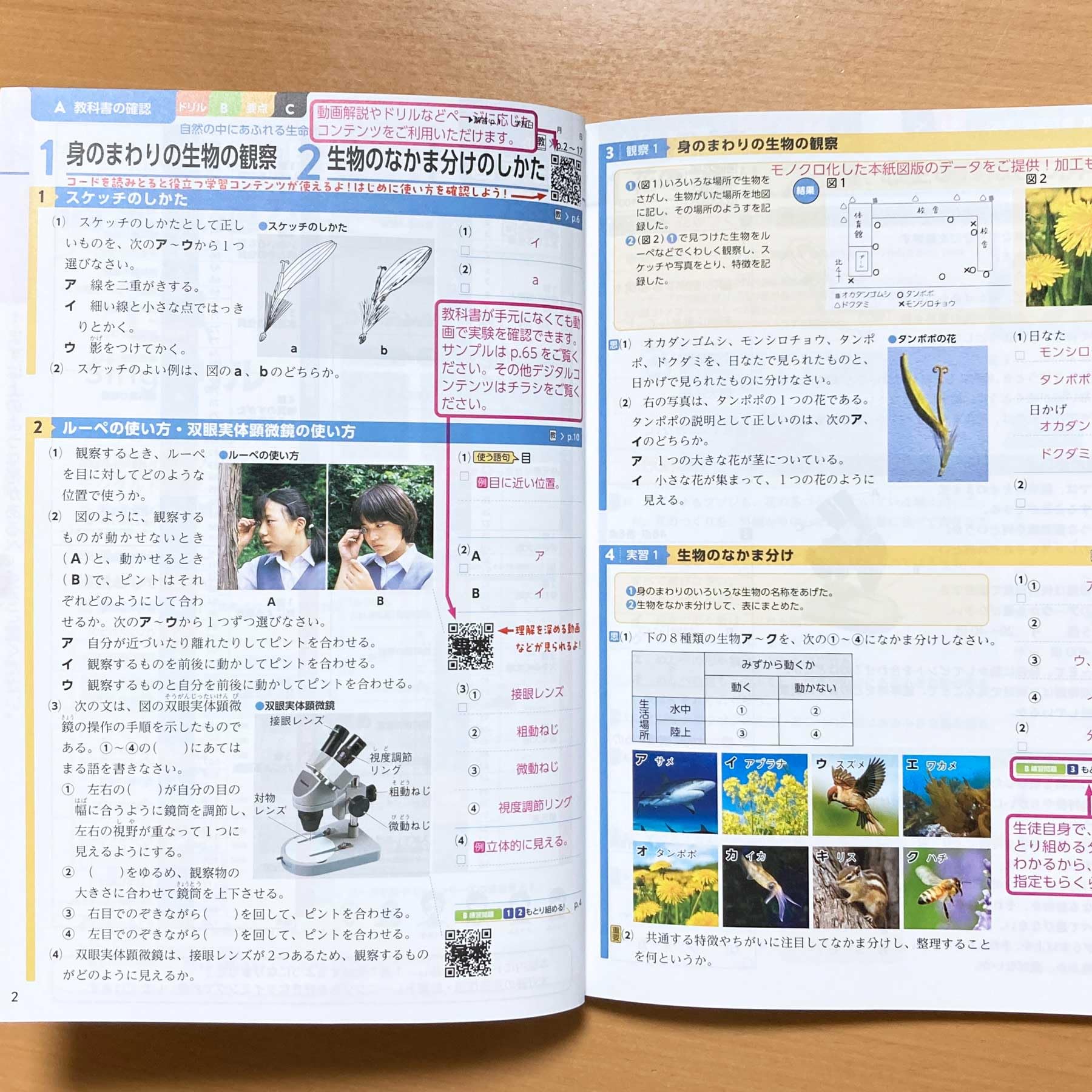 Amazon.co.jp: 2025年度版「理科の自主学習 1年 啓林館版【教師用